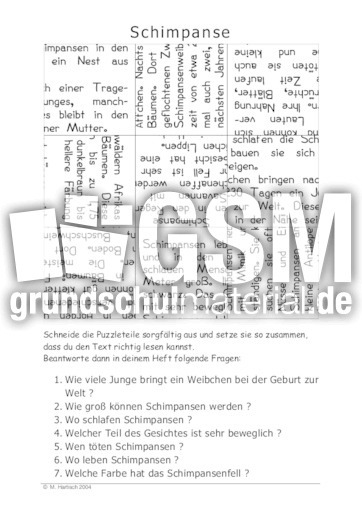Schimpanse.pdf